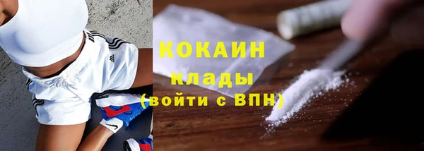 твердый Вяземский