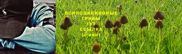 твердый Вяземский
