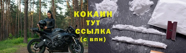 твердый Вяземский