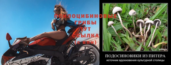 твердый Вяземский
